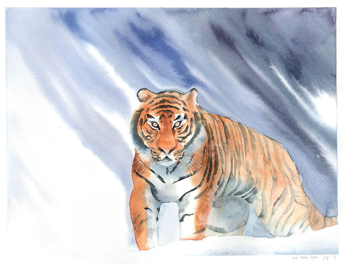 Tiger Watercolor